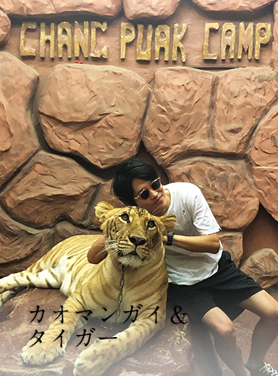 カオマンガイ＆タイガー